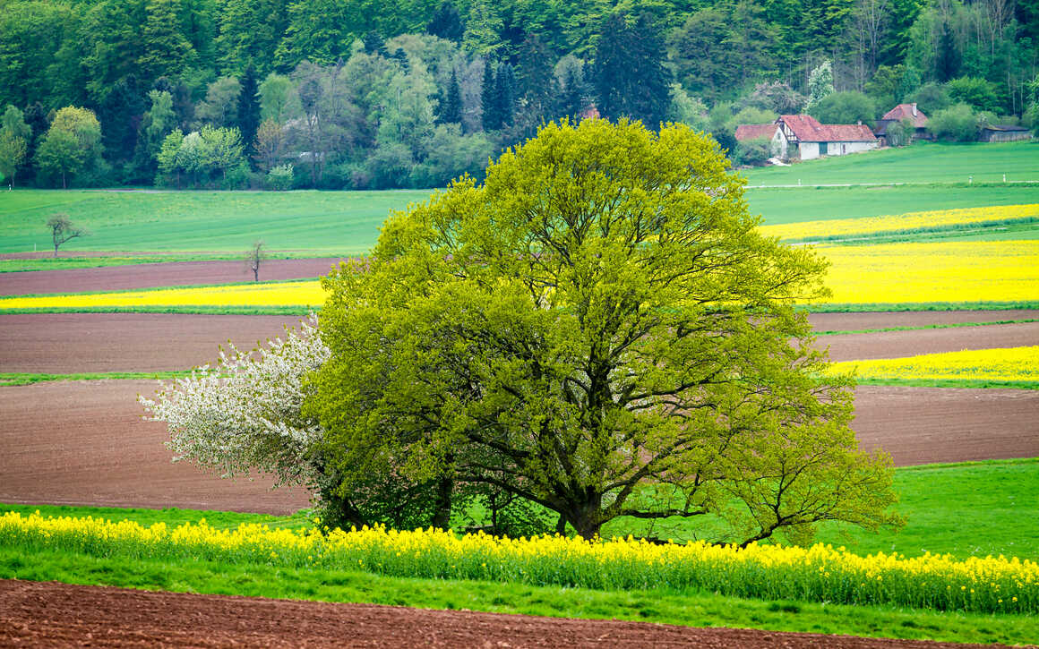 Frühlingslandschaft